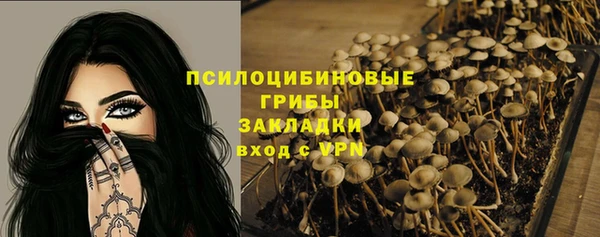 ПСИЛОЦИБИНОВЫЕ ГРИБЫ Покачи