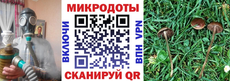 наркошоп Калининград Галлюциногенные грибы ЛСД