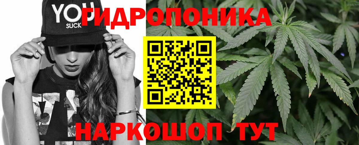 Бошки Шишки MAZAR Калининград